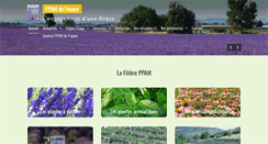 Desktop Screenshot of ppamdefrance.com